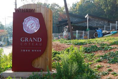그랑꼬또 와이너리